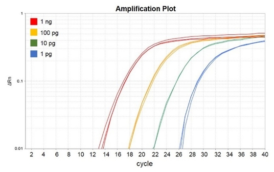 生化学的な試薬Rox QPCRの組合せ1000のX 20ulの反作用のAccuris QMaxの緑無し