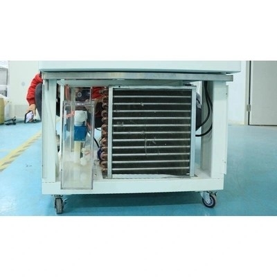 ちり止めOEMの温度および湿気テスト箱220V 50Hz力